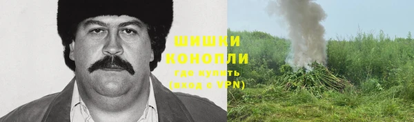 шишки Абдулино