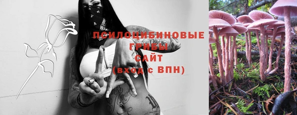 шишки Абдулино
