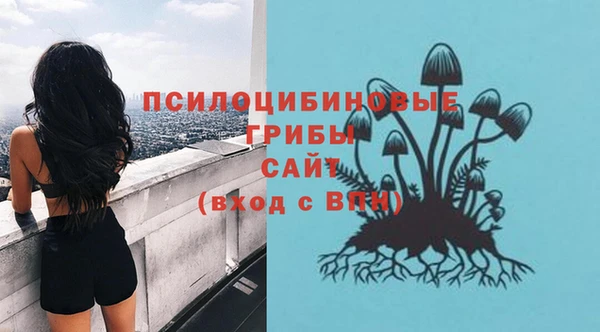 сатива Алексин